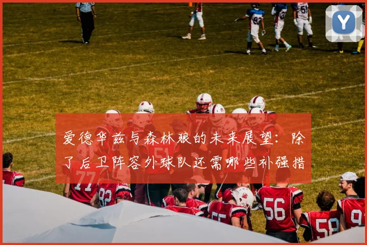 爱德华兹与森林狼的未来展望：除了后卫阵容外球队还需哪些补强措施